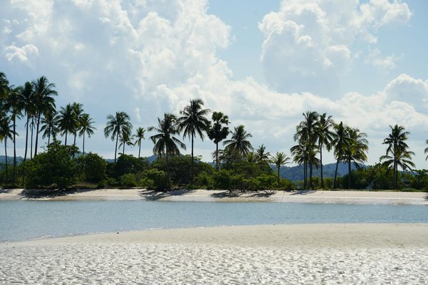 Quels sont les équipements nécessaires pour un camping en région de forêts de séquoias en hiver?